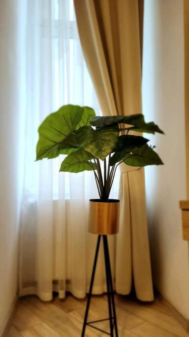 Golden Apartment Bosacka Krakow Old Town 2 Rooms Εξωτερικό φωτογραφία